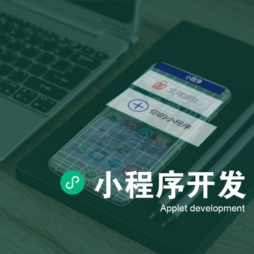 潍坊滨海开发区企业小程序开发指南 如何借助山东网络优势实现数字化转型